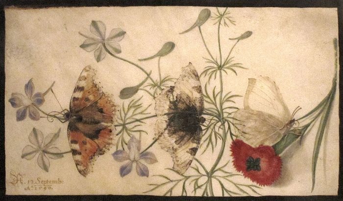 Hoefnagel · Flanders · 1590