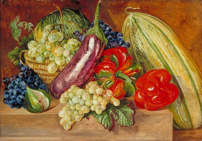 Fruits at Lisbon · Marianne North
